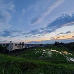冒険野郎 浜松散歩 チャリとか自由