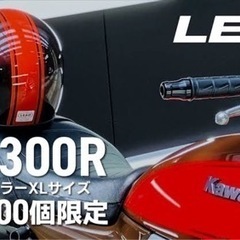 お買い上げありがとうございます✩.*˚
希少限定200個リード工...