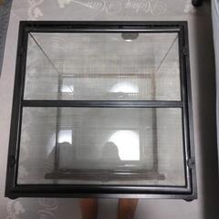 エキゾテラ　ケージの画像