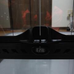 エキゾテラ　ケージの画像