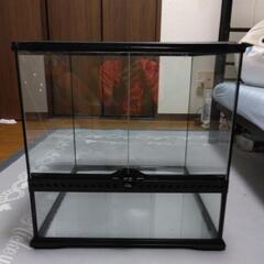 エキゾテラ　ケージ