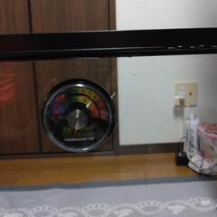 エキゾテラ　ケージの画像