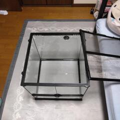 エキゾテラ　ケージの画像