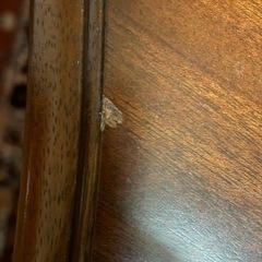 マルニ
家具 テーブル センターテーブルの画像