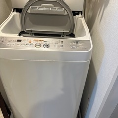 【受け渡し予定者決定】家電 生活家電 洗濯機とTOTO防水トレイ