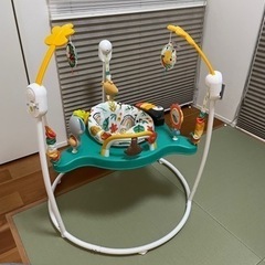 フィッシャープライス(fisher price) ゆかいなレインボーフォレストジャンパルー の画像