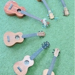 滋賀県甲賀市・草津市・竜王フラ&ウクレレ教室オープン新規生徒募集の画像