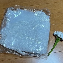 結婚式　前撮り　ウェディング　ロング　ベールの画像