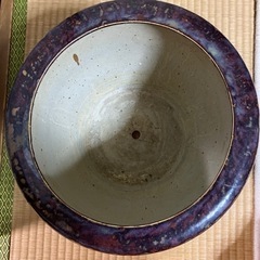 植木鉢　花瓶　ガーデニングの画像