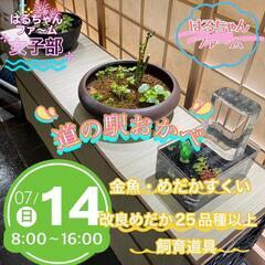 ７月１４日　深谷市道の駅おかべ