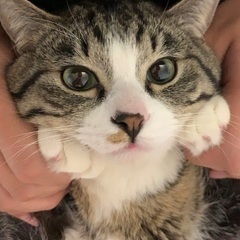 甘えん坊の男の子。4才。