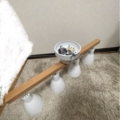 照明2点セット　電球付きの画像