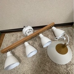 照明2点セット　電球付きの画像