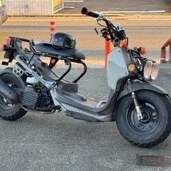 HONDA RUCKUS ホンダ　ズーマー (RUCKUS仕様) 中古車 ZOOMER 原付　バイク　オシャレなスクーターの画像