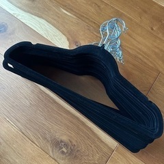 生活雑貨 洗濯用品 ハンガーの画像
