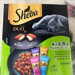 猫の餌お話中