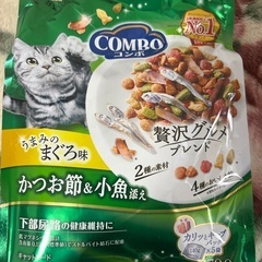 猫の餌お話中
