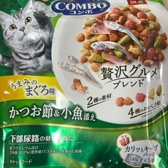 猫の餌お話中