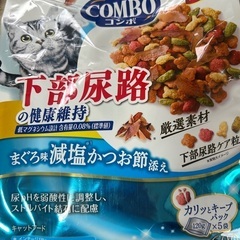 猫の餌お話中