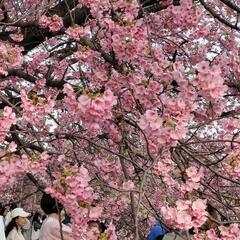 女の子の友達ゆるぼ − 東京都