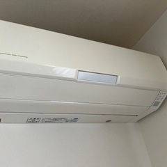 譲り先決定しました。の画像