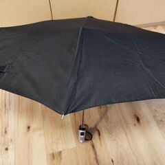 折りたたみ傘の画像