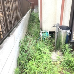 庭の草むしりと芝刈りをお願いします！