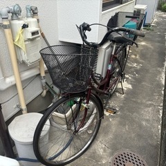 【決まりました】古い自転車