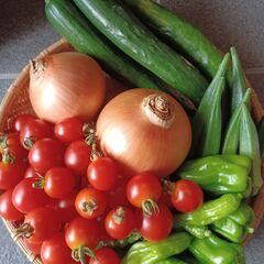 六角オクラ、ミニトマト､ししとうなど