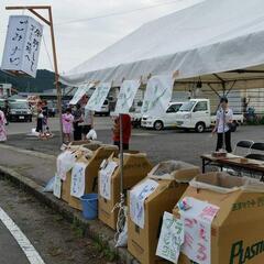 【ボランティア】燈籠祭でのごみナビゲートボランティアの募集