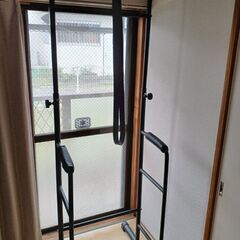 【引っ越し処分】懸垂
