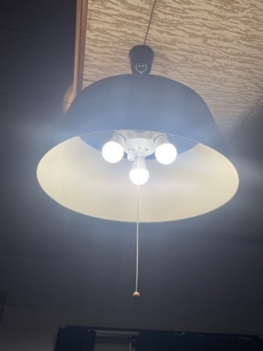 シーリングランプ　黒（LED電球3個付）