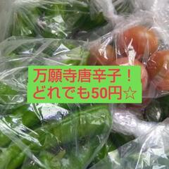 本日午前中☆やさい販売☆早いもの勝ち♡