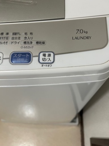 家電 生活家電 洗濯機