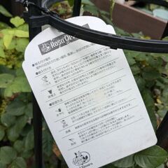 バラ大苗トロイメライ　ロサオリエンティスの画像