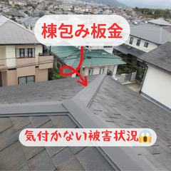 棟包み板金の現状調査