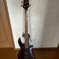 グラスルーツ　ベース