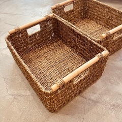 ACTUSバスケット①