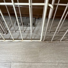 キャットケージの画像