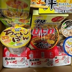 食品 セット まとめ 災害非常食 米 飯 カップラーメン親子中華レトルトキャンプの画像