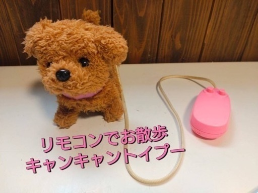 リモコンでお散歩　キャンキャントイプー