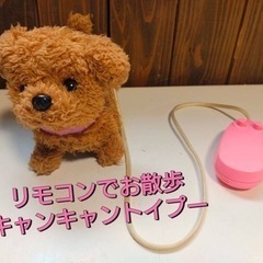 リモコンでお散歩　キャンキャントイプー