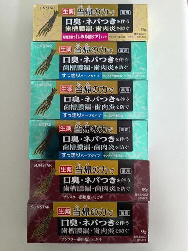 薬用サンスター塩ハミガキ（6個）