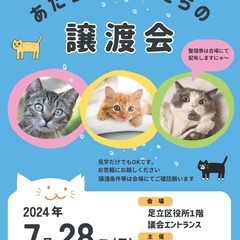 第5回あだち保護猫たちの譲渡会iｎ足立区役所の画像