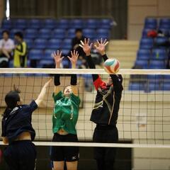 バレーボールの大会に出たい方募集中！