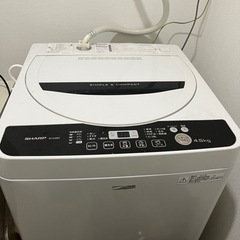 家電 生活家電 洗濯機