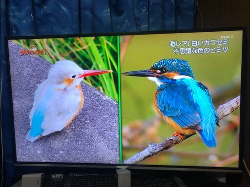 東芝4Kレグザ　タイムシフトマシン対応　58Z8X