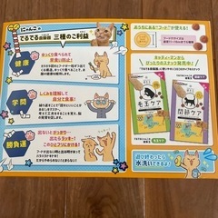 ペット用おもちゃ 　の画像