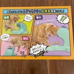 ペット用おもちゃ 　の画像