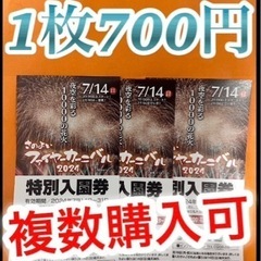 グリーンランド入園券